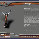 Coolcats Website